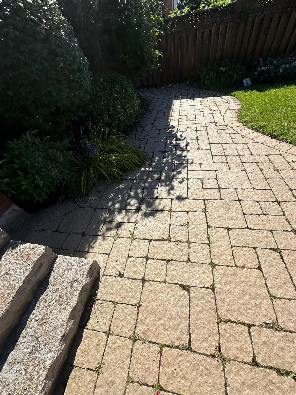 Elite Edge Window Cleaning - pressure washing and exterior services