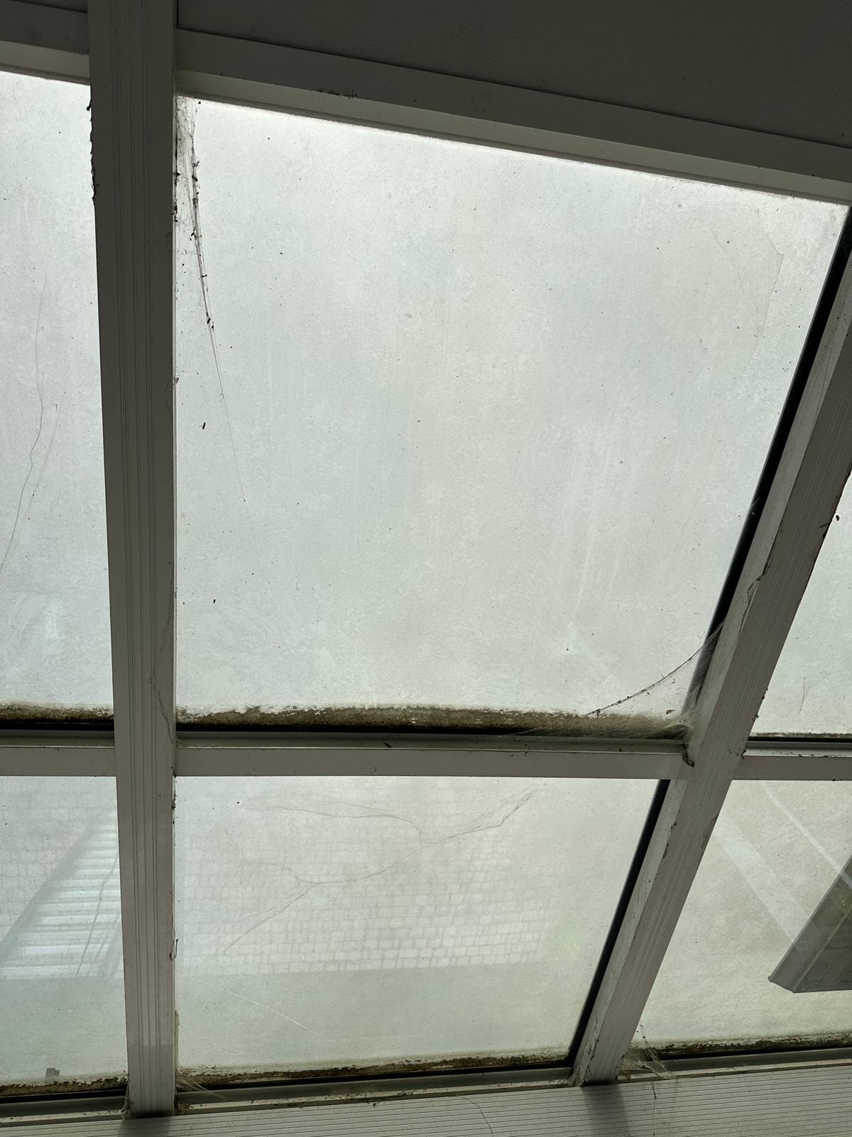 Dirty window before professional cleaning